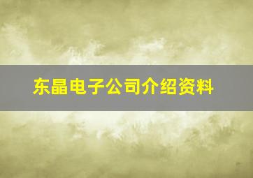 东晶电子公司介绍资料