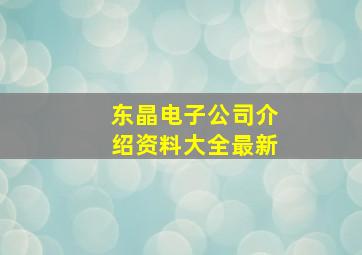 东晶电子公司介绍资料大全最新