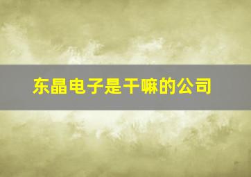 东晶电子是干嘛的公司