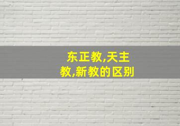 东正教,天主教,新教的区别