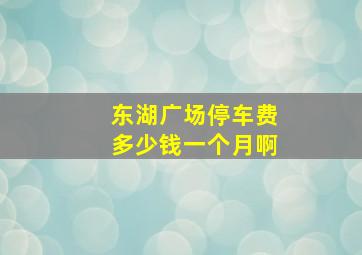 东湖广场停车费多少钱一个月啊