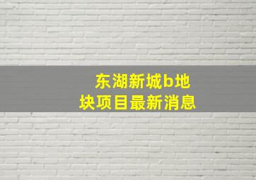 东湖新城b地块项目最新消息