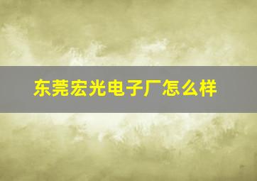 东莞宏光电子厂怎么样