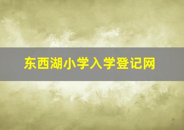 东西湖小学入学登记网