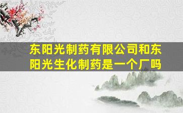 东阳光制药有限公司和东阳光生化制药是一个厂吗