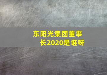 东阳光集团董事长2020是谁呀