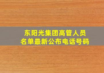 东阳光集团高管人员名单最新公布电话号码