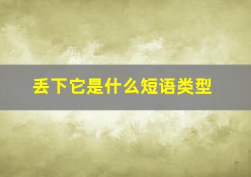 丢下它是什么短语类型