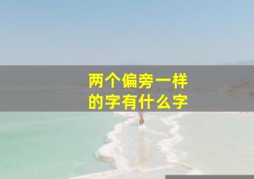 两个偏旁一样的字有什么字