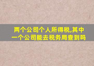 两个公司个人所得税,其中一个公司能去税务局查到吗