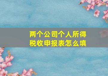 两个公司个人所得税收申报表怎么填