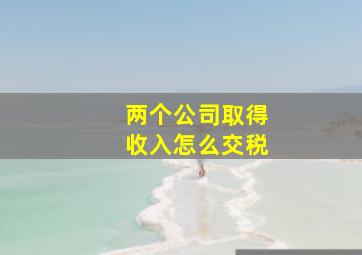 两个公司取得收入怎么交税