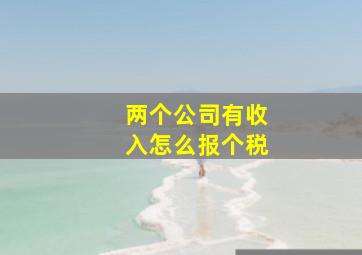 两个公司有收入怎么报个税