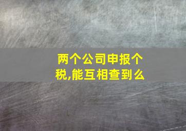 两个公司申报个税,能互相查到么