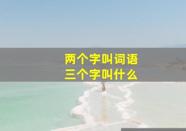 两个字叫词语三个字叫什么