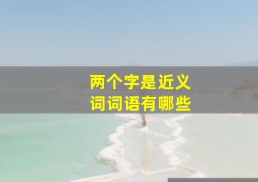 两个字是近义词词语有哪些