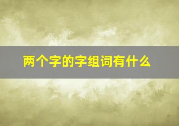 两个字的字组词有什么