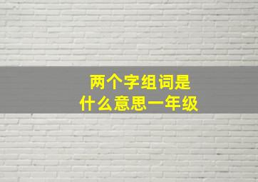 两个字组词是什么意思一年级