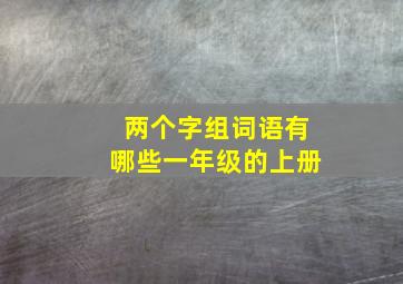 两个字组词语有哪些一年级的上册