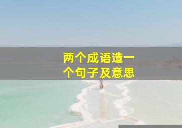 两个成语造一个句子及意思