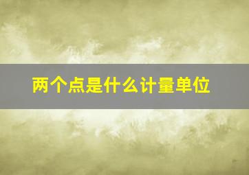 两个点是什么计量单位