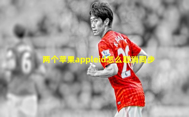 两个苹果appleid怎么取消同步