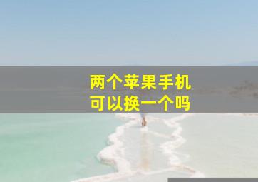 两个苹果手机可以换一个吗