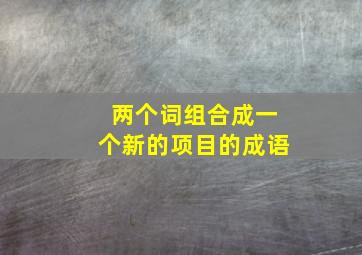 两个词组合成一个新的项目的成语