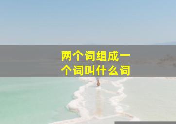 两个词组成一个词叫什么词