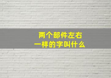 两个部件左右一样的字叫什么