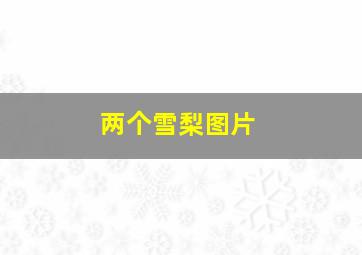 两个雪梨图片