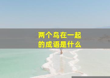 两个鸟在一起的成语是什么