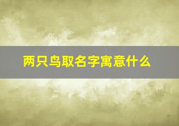 两只鸟取名字寓意什么