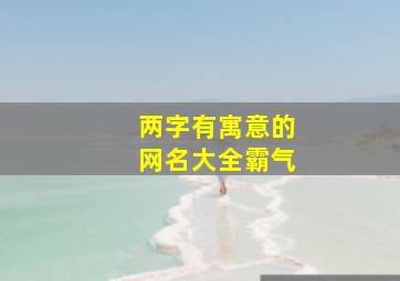 两字有寓意的网名大全霸气