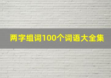 两字组词100个词语大全集