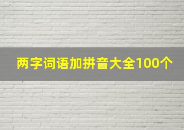 两字词语加拼音大全100个