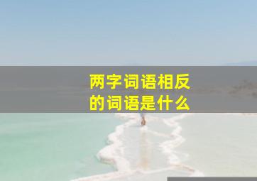 两字词语相反的词语是什么