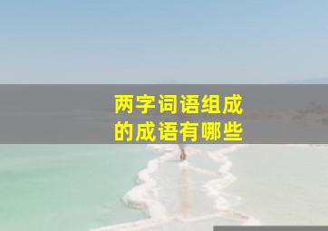 两字词语组成的成语有哪些