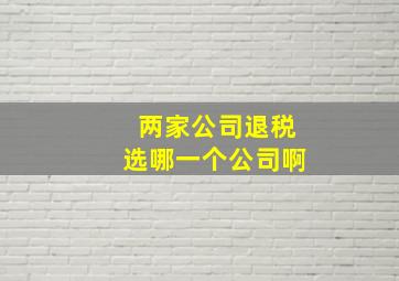 两家公司退税选哪一个公司啊