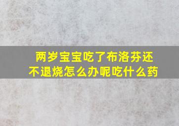 两岁宝宝吃了布洛芬还不退烧怎么办呢吃什么药