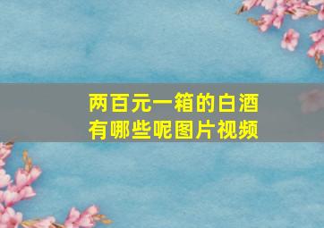 两百元一箱的白酒有哪些呢图片视频