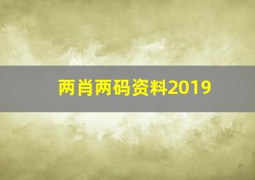 两肖两码资料2019