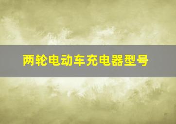 两轮电动车充电器型号