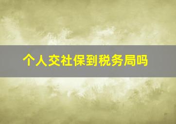 个人交社保到税务局吗