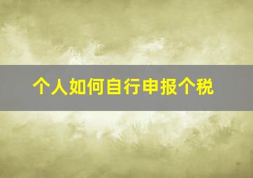 个人如何自行申报个税