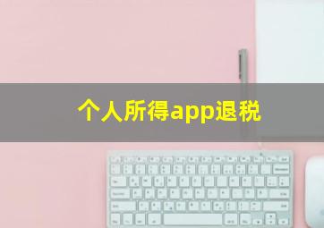 个人所得app退税