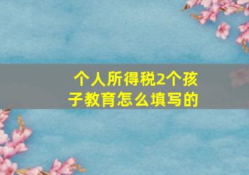 个人所得税2个孩子教育怎么填写的