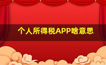 个人所得税APP啥意思