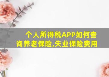 个人所得税APP如何查询养老保险,失业保险费用