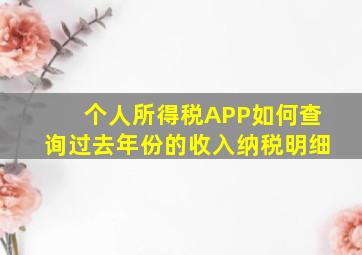 个人所得税APP如何查询过去年份的收入纳税明细